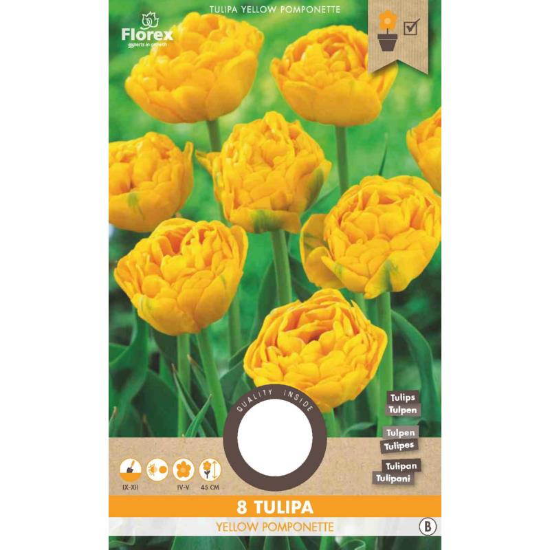 Tulp Yellow Pomponette - 8 stuks