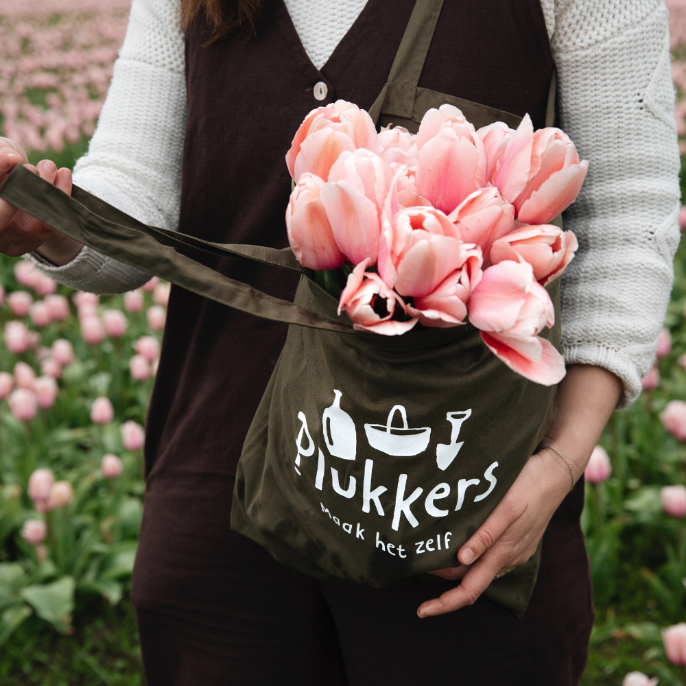 Tulp 'Roze' BIO