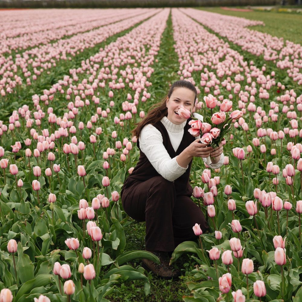 Tulp 'Roze' BIO