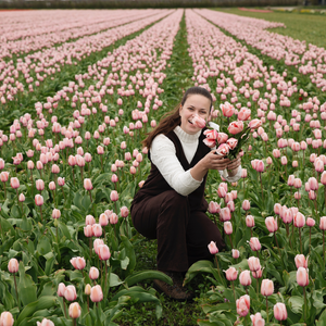 Tulp 'Roze' BIO