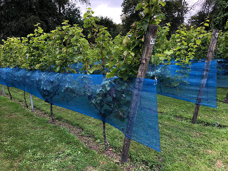 Weinbaunetz VINEA für Weinberge, feste Länge 1,2 x 20 Meter