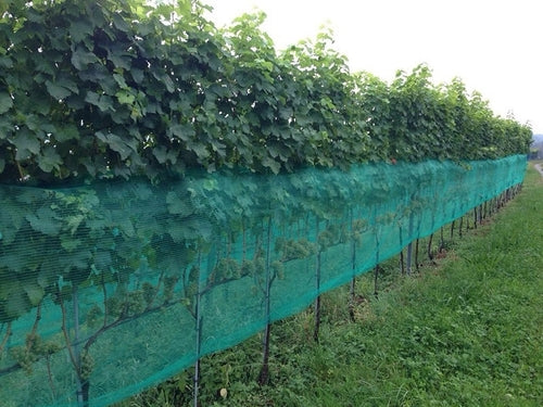 Wespennetz VASPA für Weinberg 90 cm (Länge wählen) auch gegen Sonne und Vögel