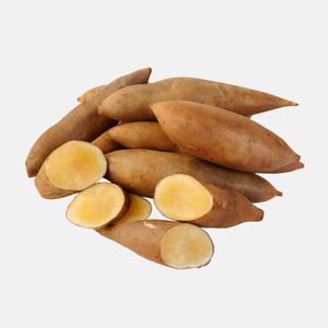 Yacon or apple root breeding tuber BIO - 1 piece