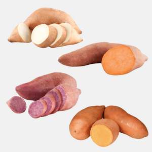 Zoete aardappel plantjes - Mix van 4 rassen (20 plantjes)