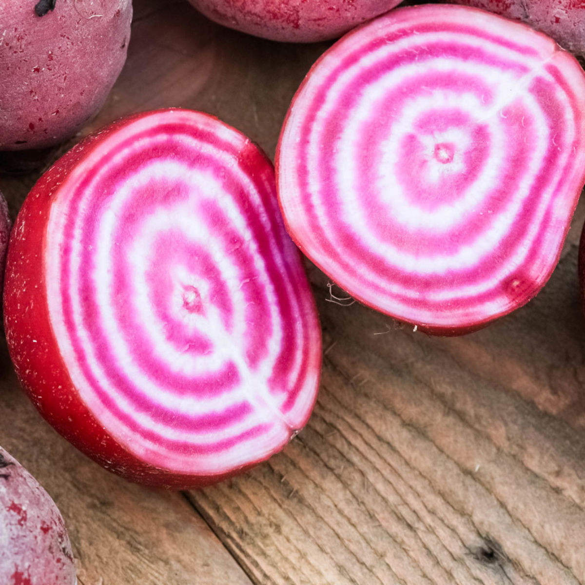 Rote-Bete-Chioggia-BIO-Samen