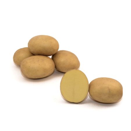 BIO Seed Potato Connect 28/35 (mittelfrüh) – Gewicht wählen