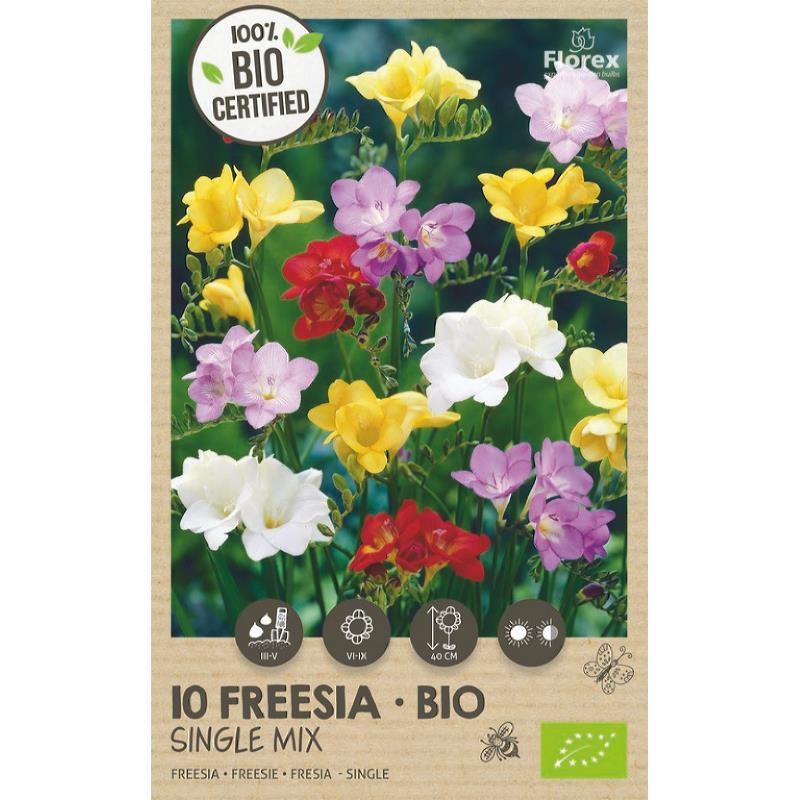 Bio Freesia Mélange Unique 5/6 10 pcs.