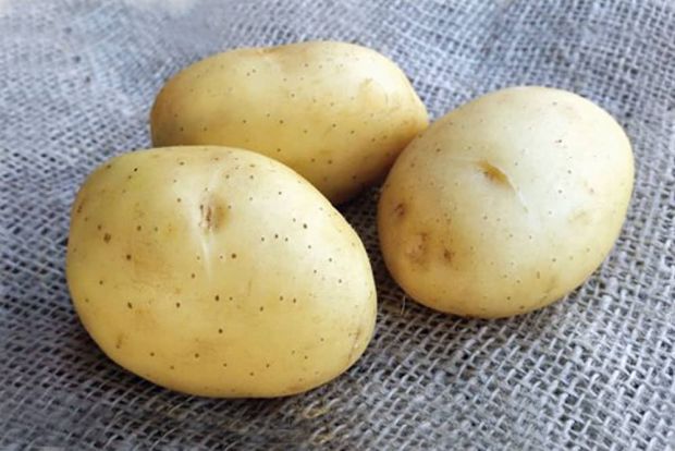 BIO Pootaardappel Vitabella 28/35 (middenvroeg) FRIET - kies gewicht