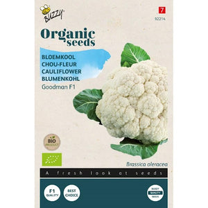 Buzzy Organic Bloemkool Goodman F1 (BIO) - ca. 25 zaden