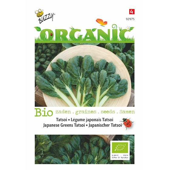 buzzy organic tatsoi