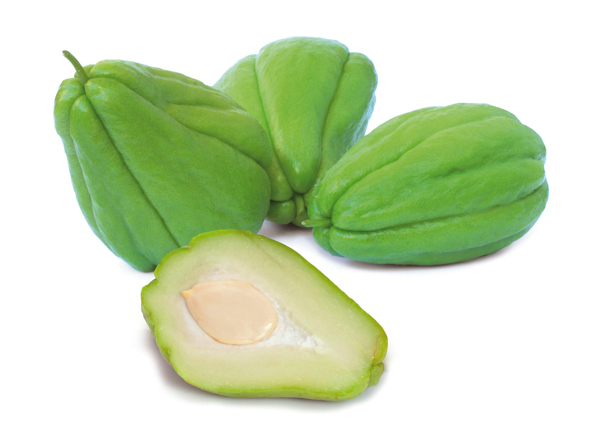 Chayote (Sechium edule) - 1 tubercule 