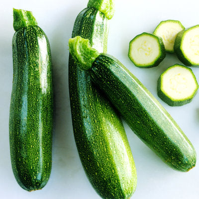 Courgette Verte Longue en pot 1 plante