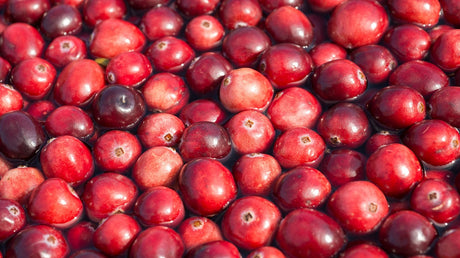 Veenbes cranberry 'Pilgrim'