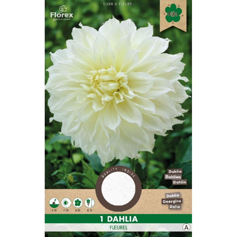 Dahlia Deko-Essteller Fleurel Weiß 1st.