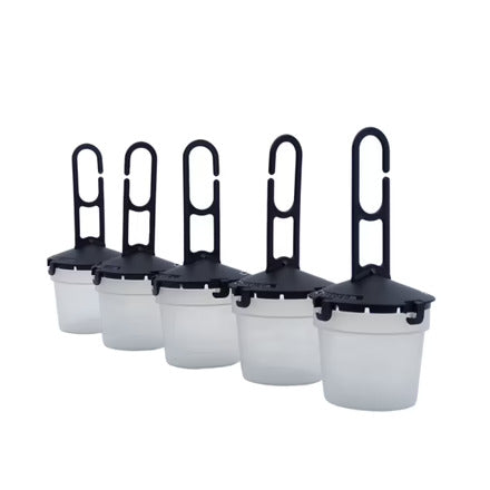 Droso Suzukii 5 traps - Drosophila Suzukii