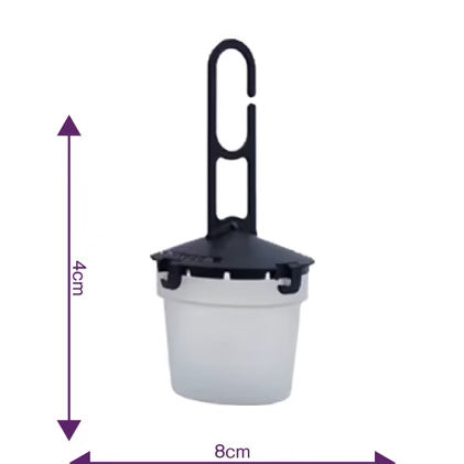 Droso Suzukii 5 traps - Drosophila Suzukii