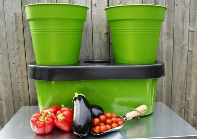 Duogrow Holiday-Proof Planter De slimme terraspotten met zelf-wateringsysteem