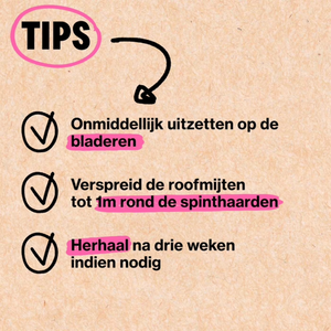 Spintmijten bestrijden met Forni-mite