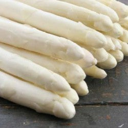 Asperge plant Gijnlim maat A70+ voor teelt groene en witte asperges