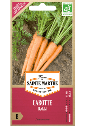 Graines de Carotte Rothild BIO