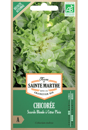 Endive blonde Volhart 'SCAROLE BLONDE A COEUR' graines BIO