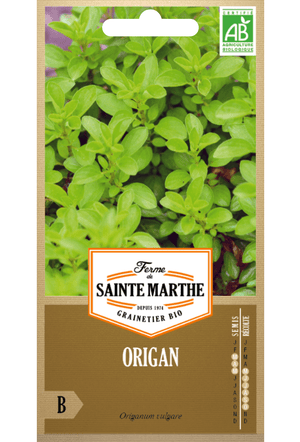 Oregano BIO-Samen