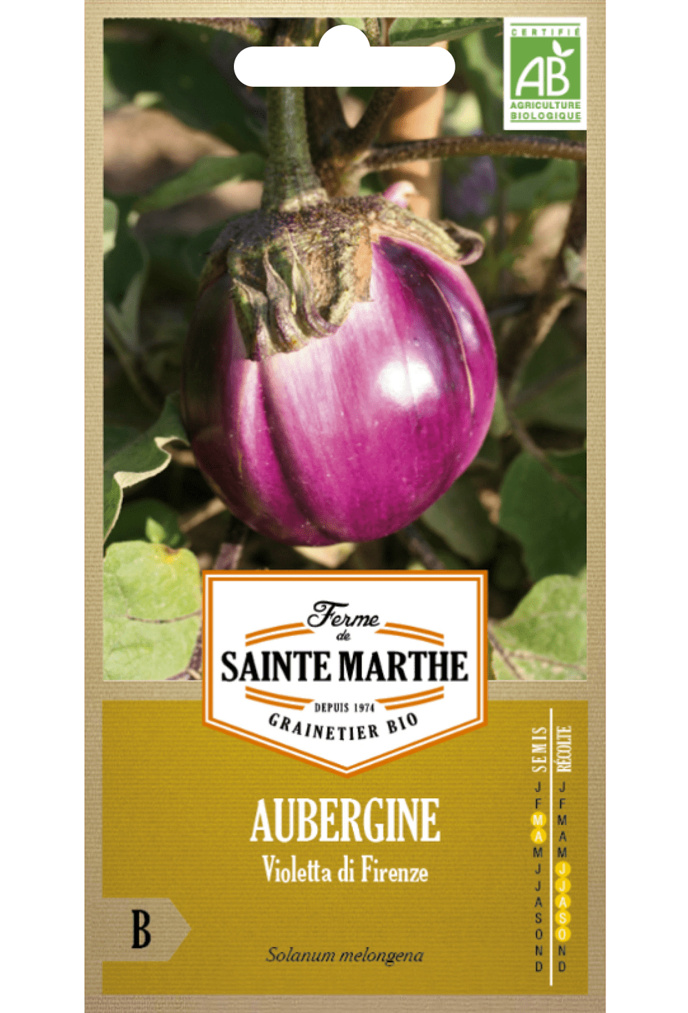 Aubergine 'Violetta di Firenze' Bio zaden