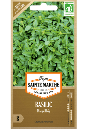 Graines BIO de Basilic de Marseille