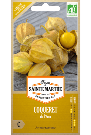 Ananaskirsche (Physalis peruviana) Bio-Samen