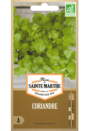 Graines de Coriandre BIO