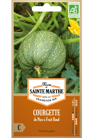 Graines de Courgette 'Nice à Fruit rond' BIO