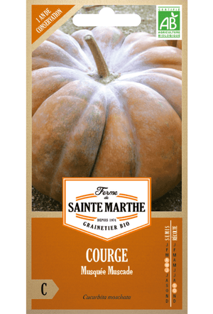 Graines de Citrouille Musquée Muscade BIO