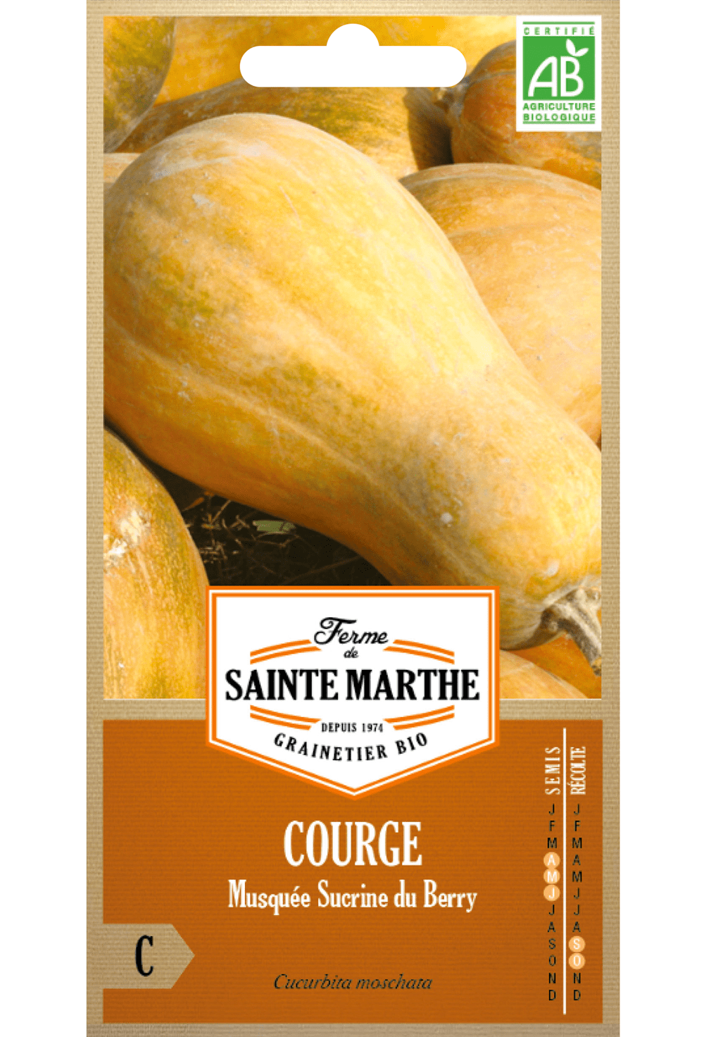 Graines de Citrouille Sucrine du Berry BIO