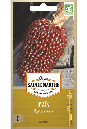 Maïs Popcorn Fraise Bio Graines