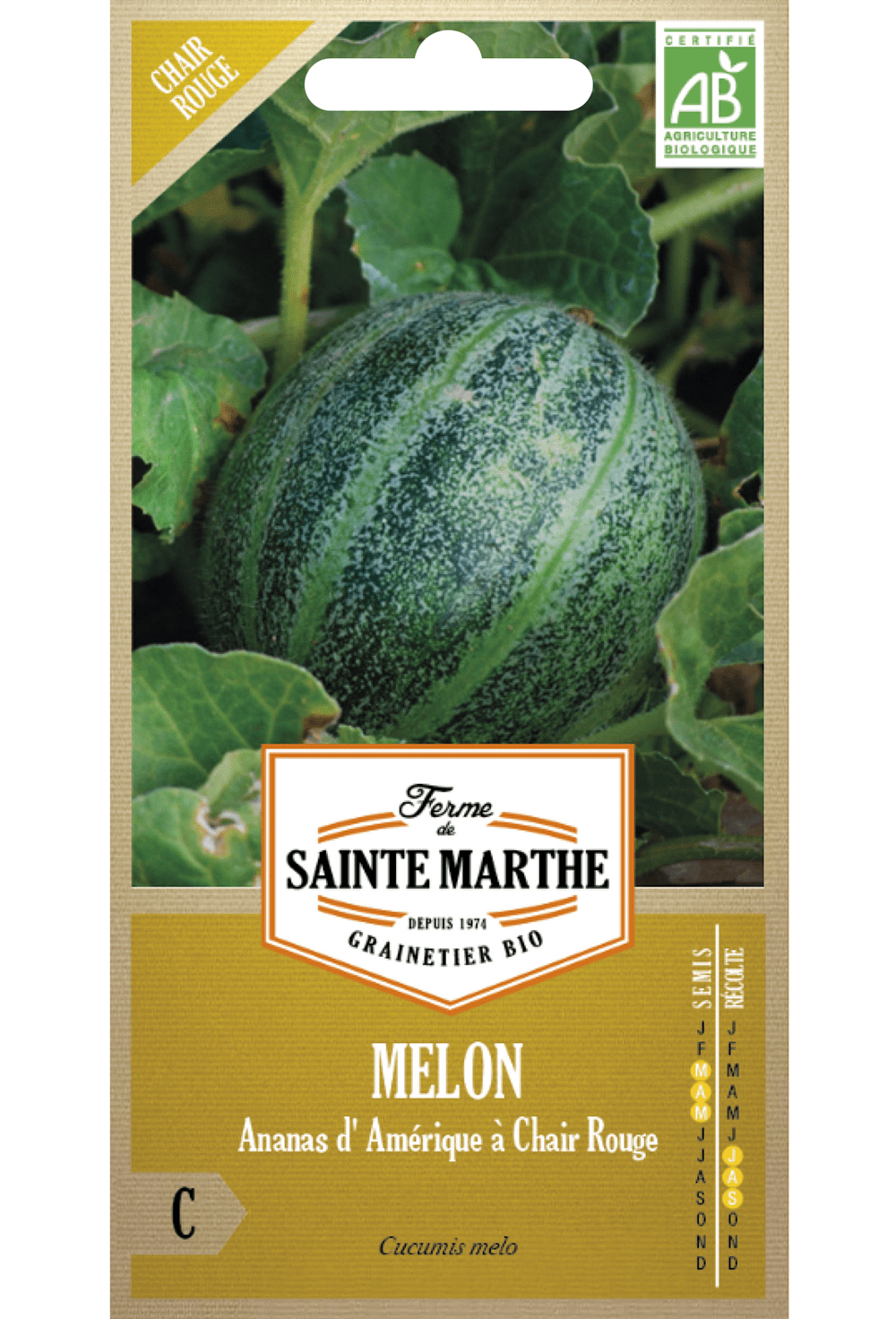 Bio-Melone 'Pineapple D'Amerique à Chair Rouge'