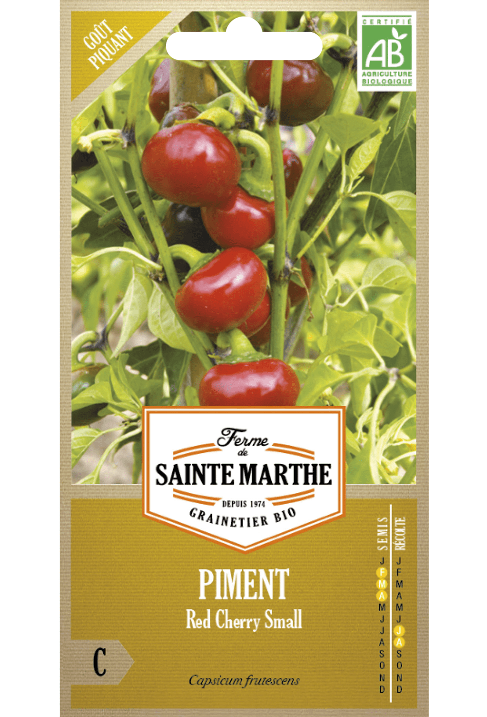 Pfeffer 'Red Cherry Small' Bio-Samen