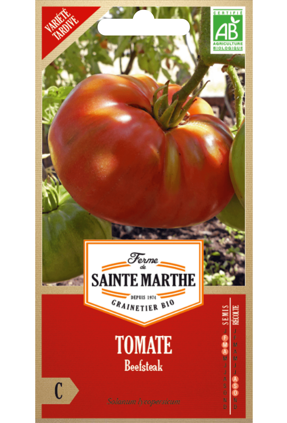 Graines de Tomate 'Beefsteak' BIO (variété précoce)