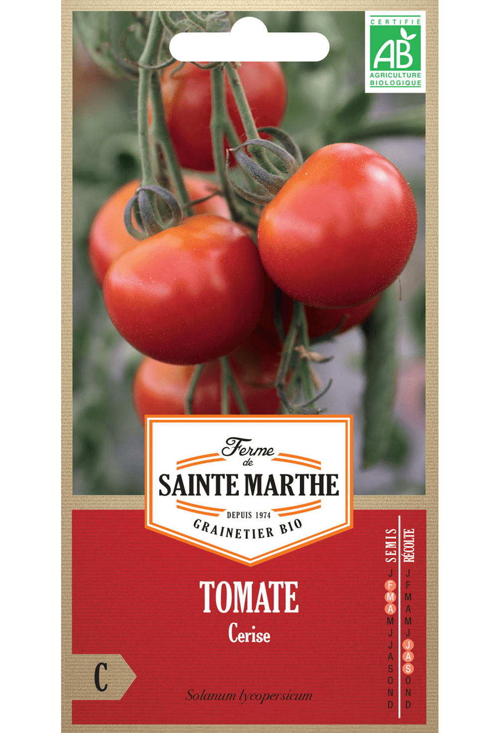 Graines de Tomate 'Cerise' BIO