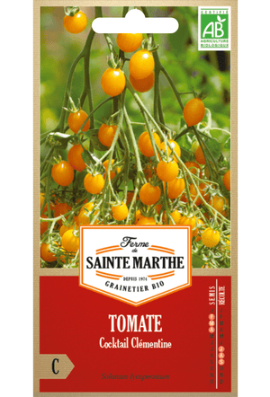 Graines de Tomate Cocktail Clémentine BIO