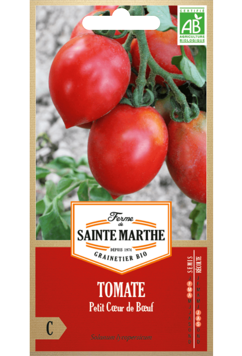 Graines de Tomate Petit coeur de boef BIO