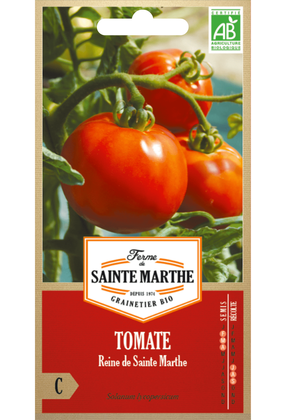 Graines de Tomate Reine de Sainte Marthe BIO