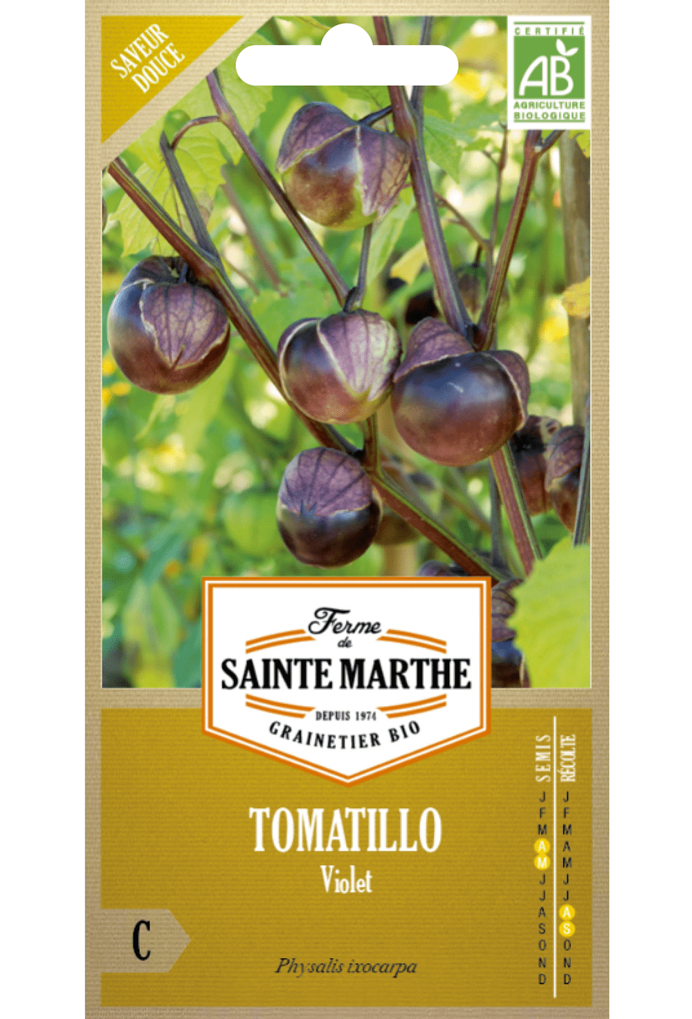 Tomatillo oder Erdkresse „Violett“ (Physalis ixocarpa) BIO-Samen