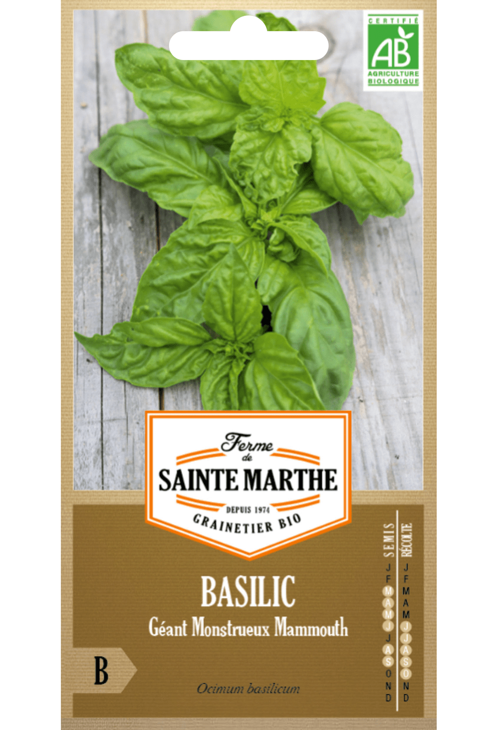 Graines BIO de Basilic à grandes feuilles