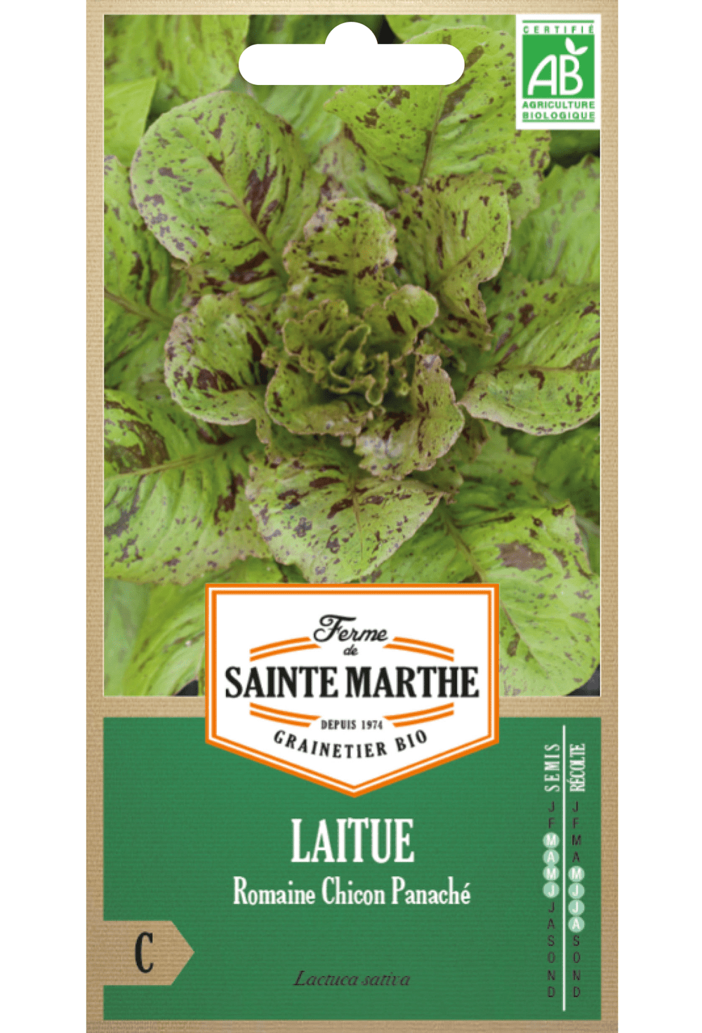 Graines de Laitue romaine 'Chicon Panaché' BIO