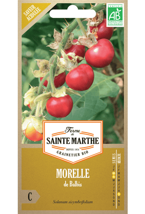 Tomate litchi 'Morelle de Balbis' (Solanum sisymbrifolium) Graines biologiques