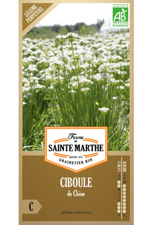 Graines de ciboulette chinoise BIO