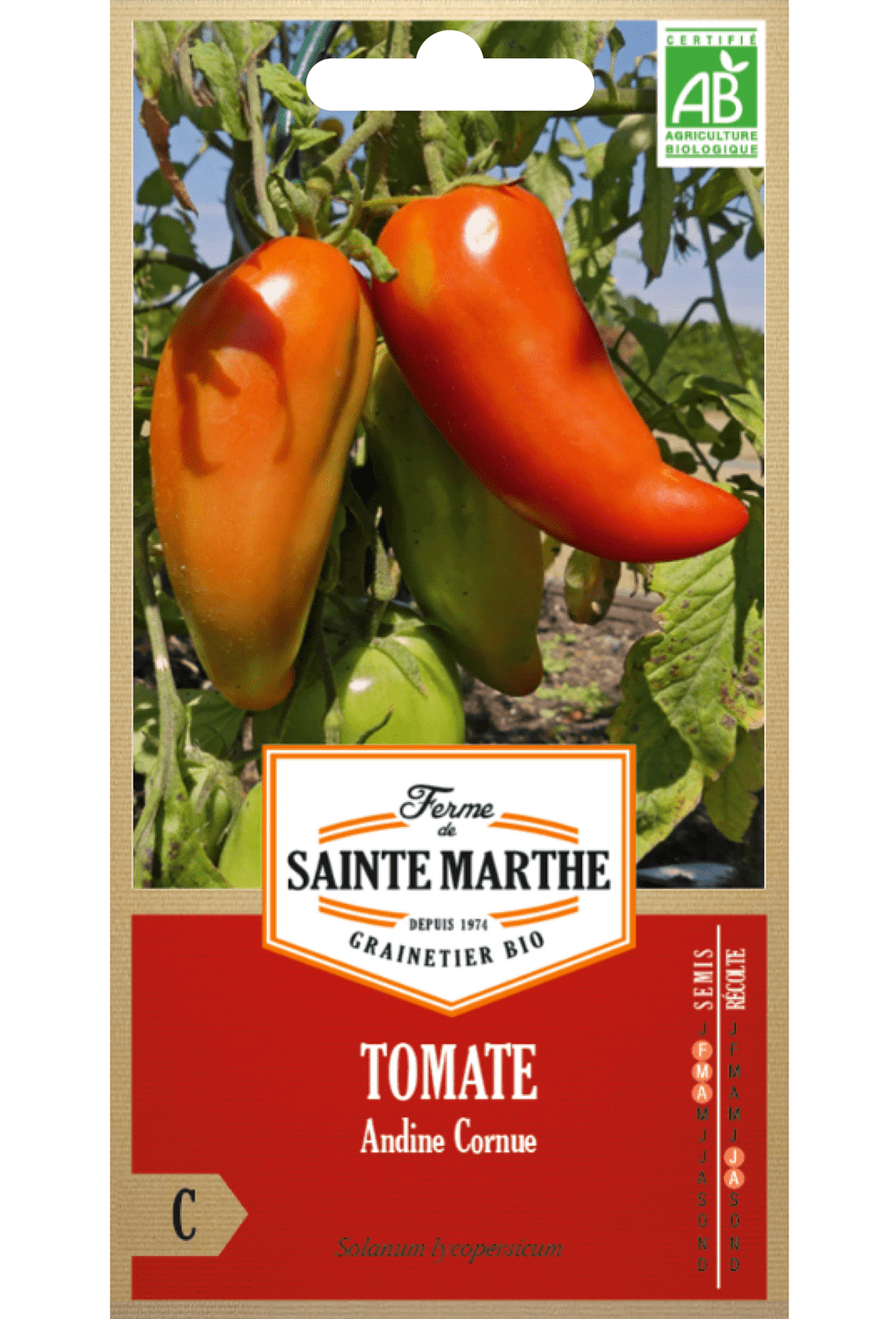 BIO-Samen der Tomate 'Andine Conrue Des Andes'