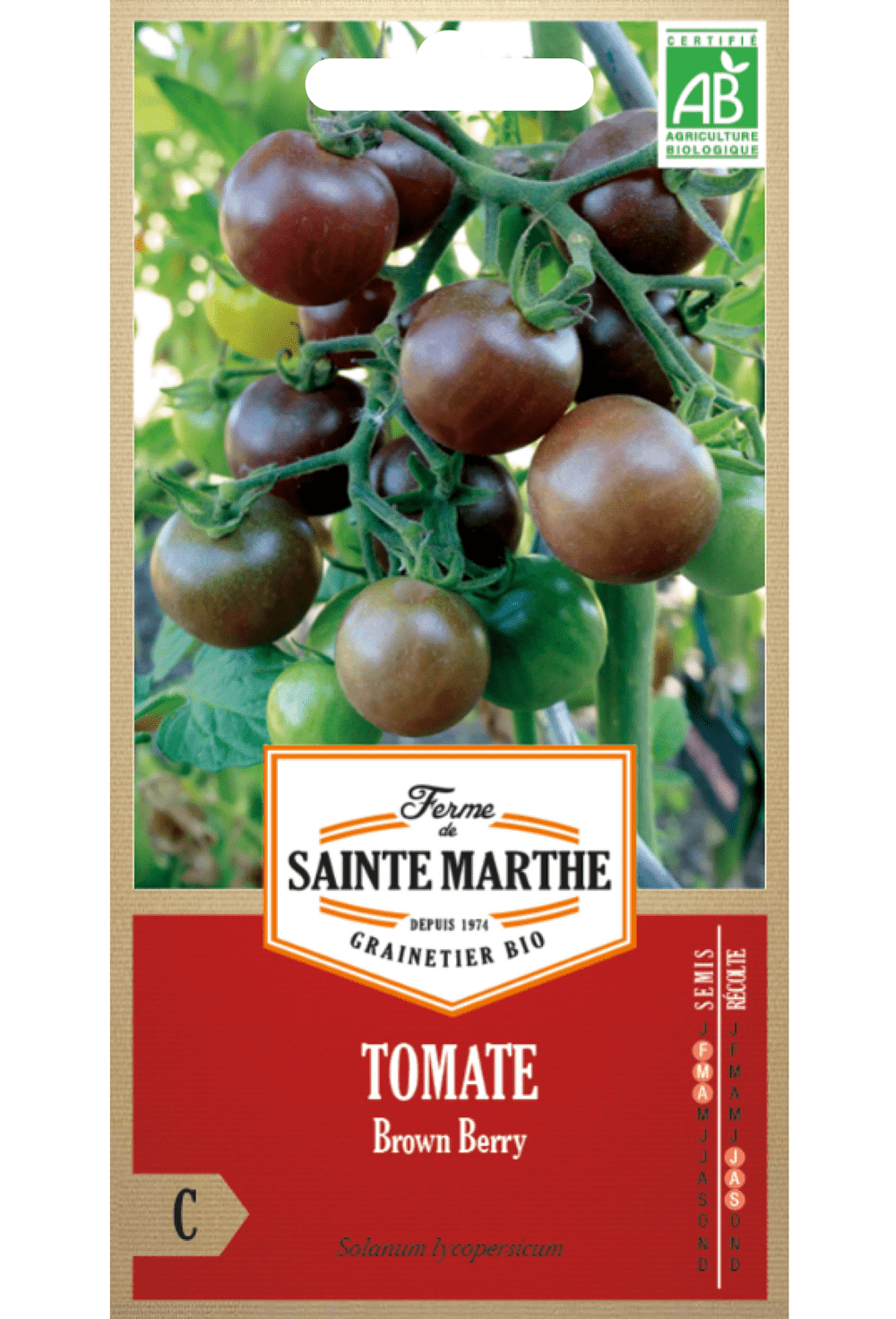 Graines de Tomate Baie Brune BIO