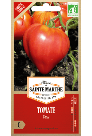 Tomatensamen Cœur BIO (frühe Sorte)