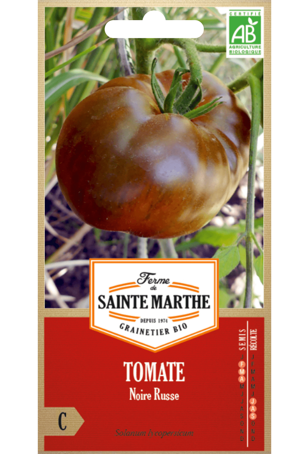 Graines de Tomate Noire Russe BIO